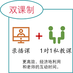 最好的在线中文课|学中文网课|从0基础识字到自主阅读|中文课