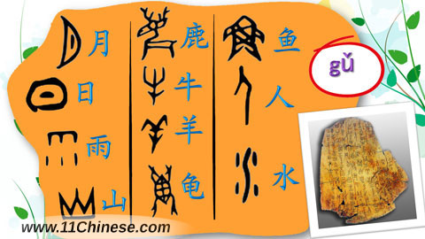 学拼音-文化小窗口：甲骨文