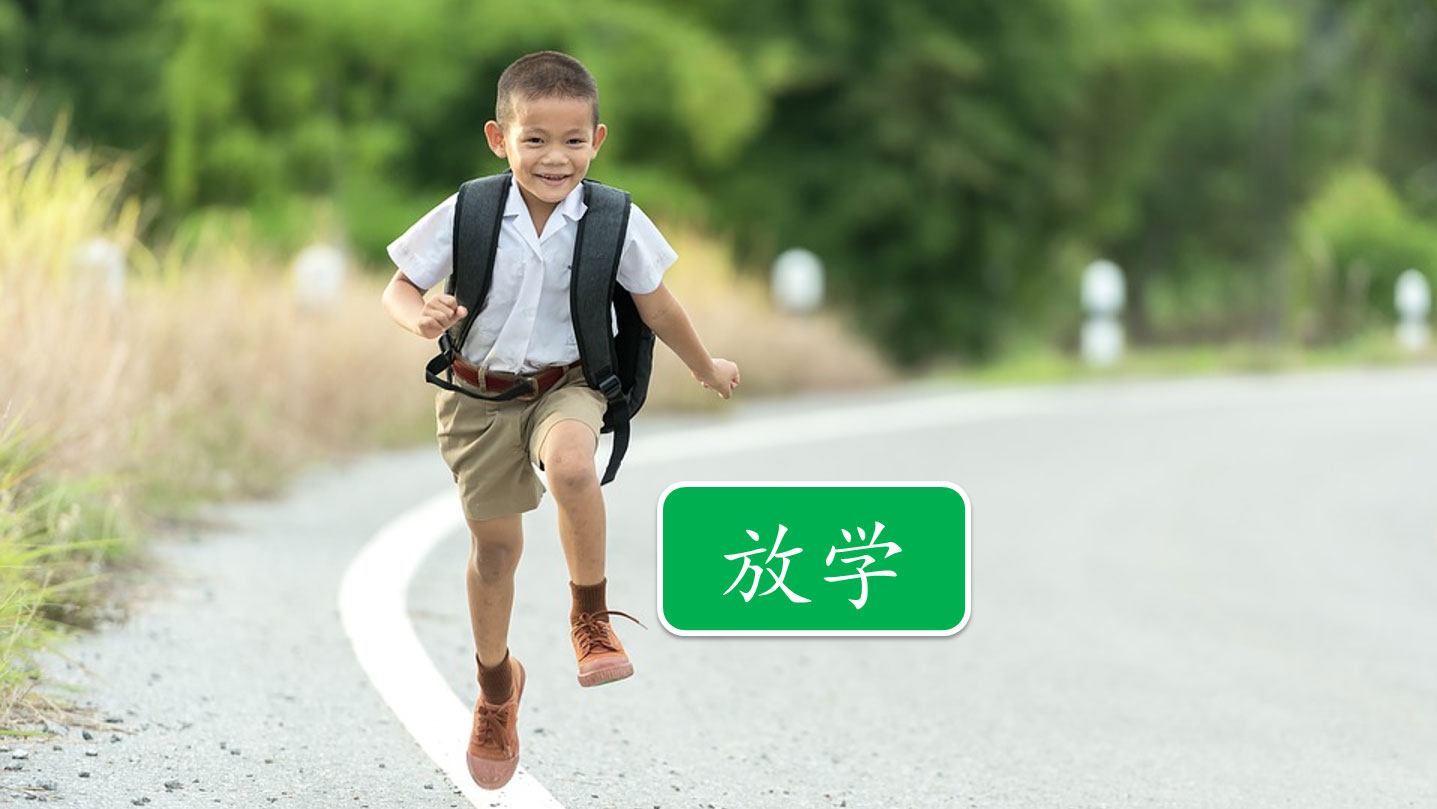 在线学中文-最好的中文学习课程-从0基础识字到自主阅读